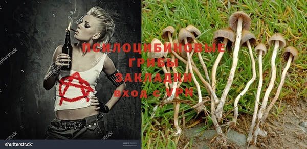 а пвп мука Володарск
