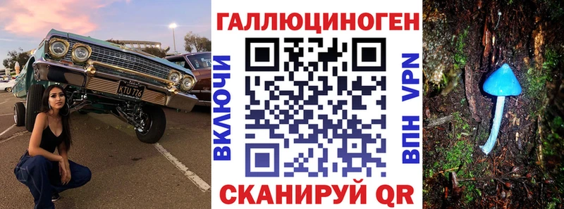 omg tor Зея Псилоцибиновые грибы MAGIC MUSHROOMS